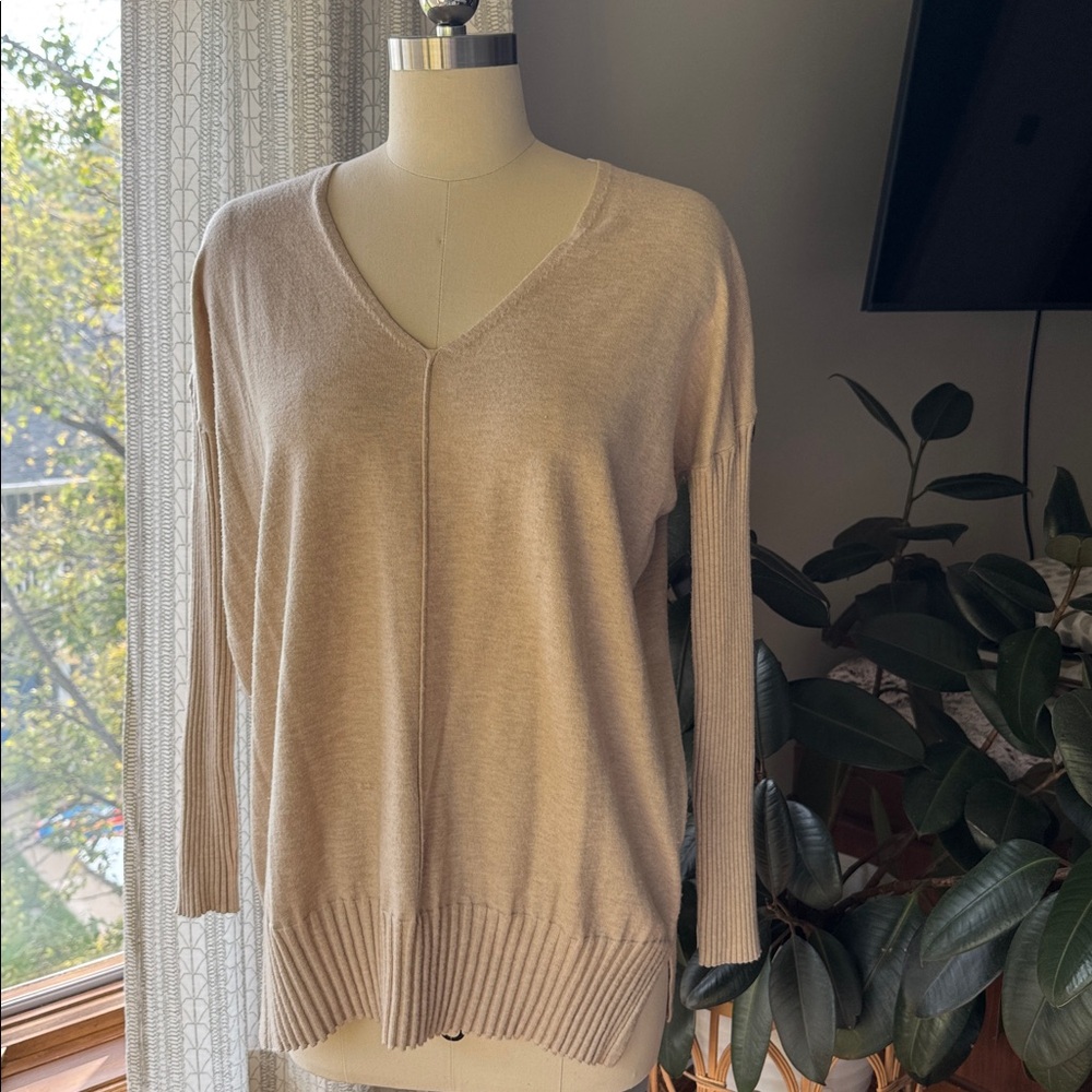Evereve V-Neck Sweater